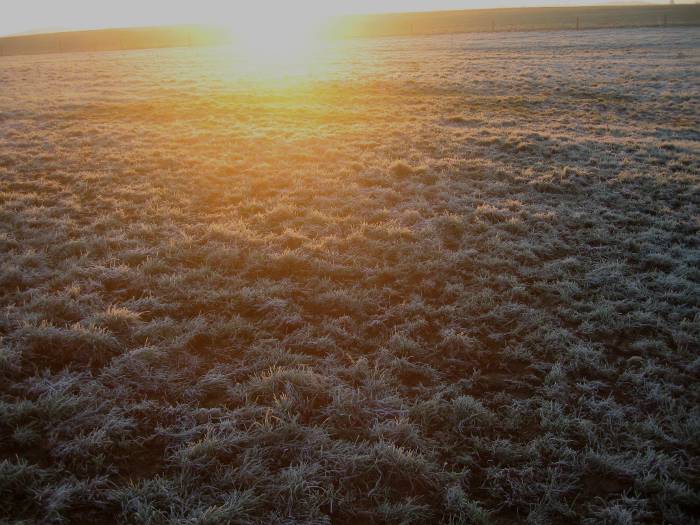 frozen sunrise