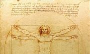 DaVinci body picture