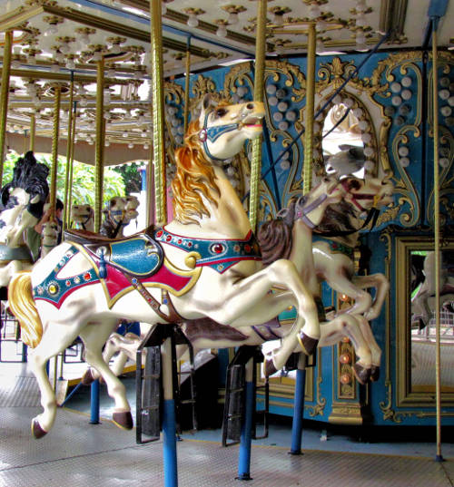 carousel