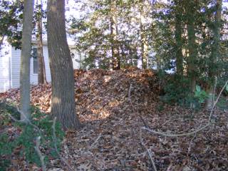 leaf pile