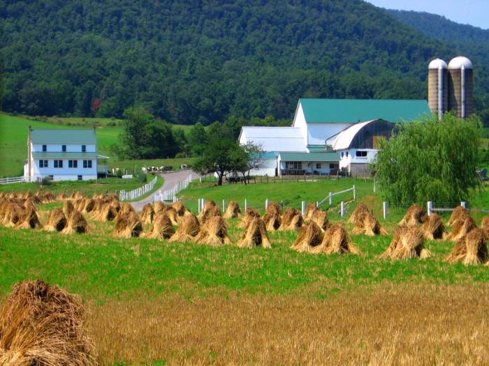 amish farm