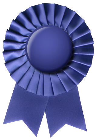 blue ribbon