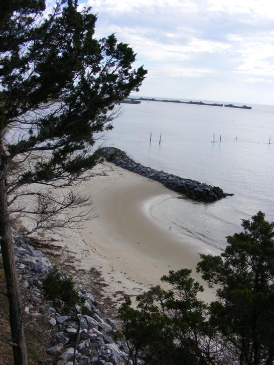 view of beach