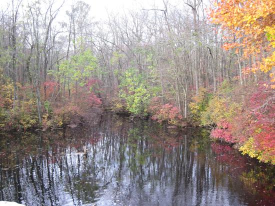 autumn pool