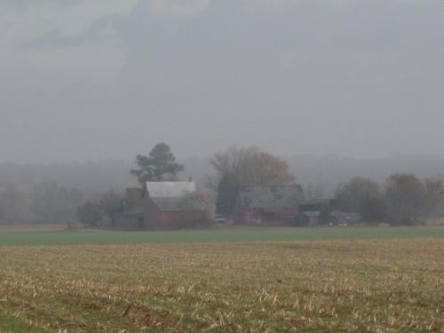 farm in the mist