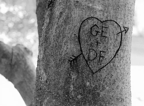 heart on tree
