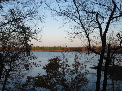 lake seen through trees