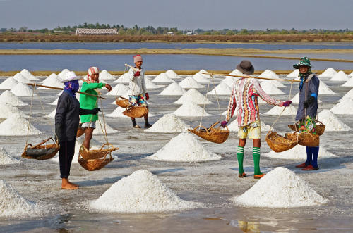 Thai salt farm
