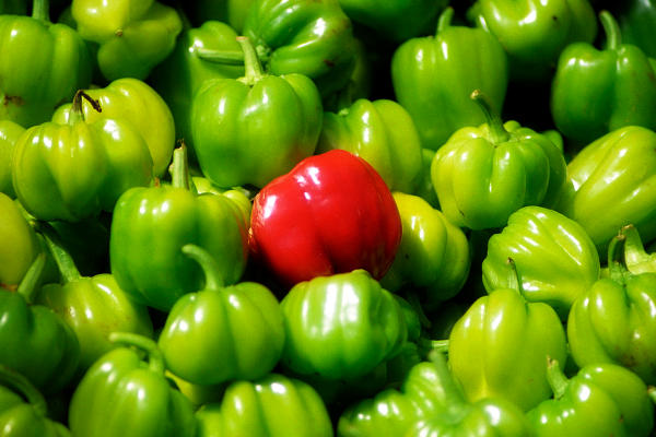 red pepper among green