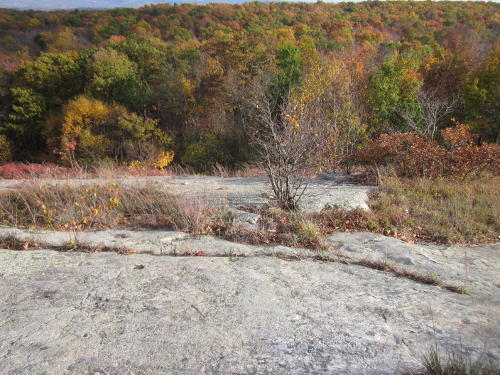 Stony Hillside