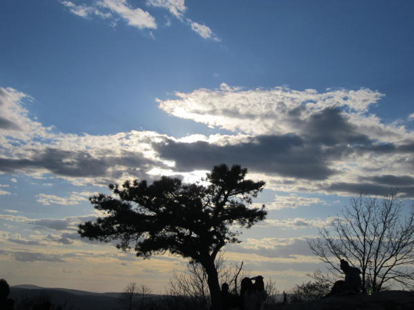 tree and clouds