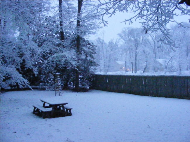 snowy yard