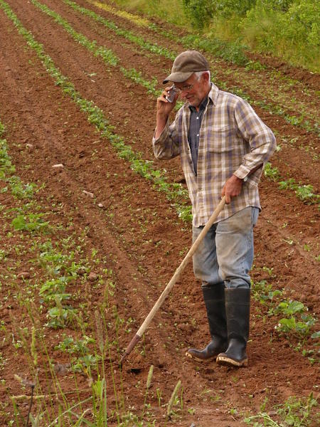 farmer