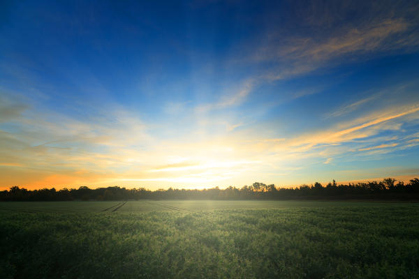 sunrise over field