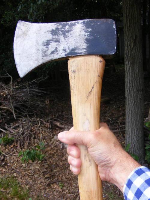 hand holding axe