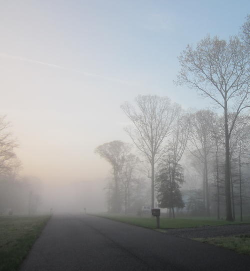 foggy road