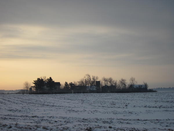 snowy farm