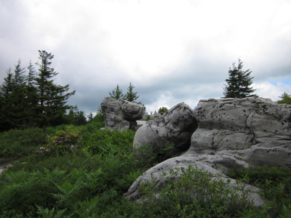 rocks in the wilderness